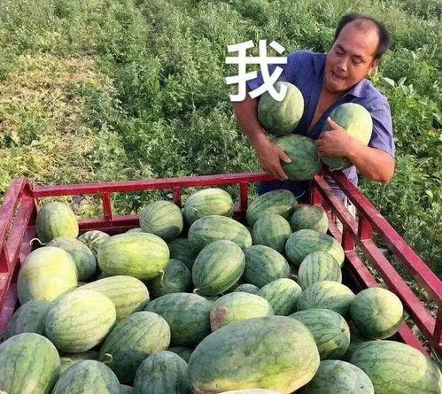 娱乐吃瓜最新瓜