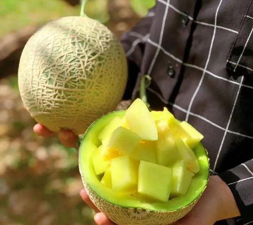 娱乐吃瓜最新瓜