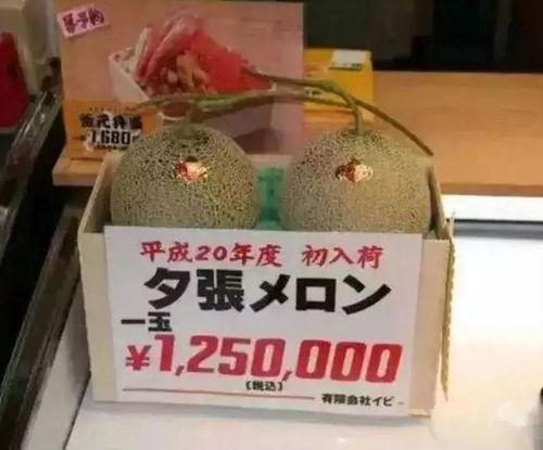 娱乐吃瓜群众群,揭秘“吃瓜群众”背后的故事