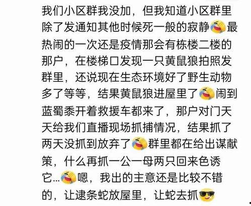 娱乐吃瓜群名叫什么名字,揭秘“娱乐吃瓜群”背后的热点事件与趣味瞬间