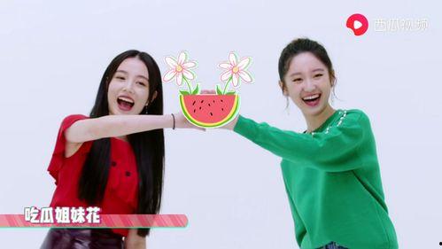 泰国娱乐圈吃瓜爆料视频,揭秘明星幕后真相